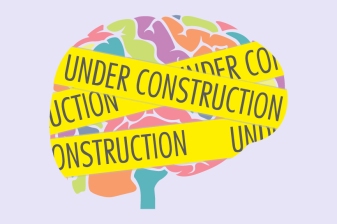 Brain-Under-Construction